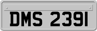 DMS2391