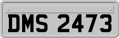DMS2473