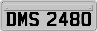DMS2480