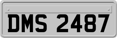 DMS2487