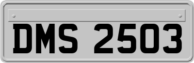 DMS2503