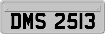 DMS2513