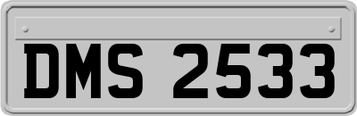 DMS2533