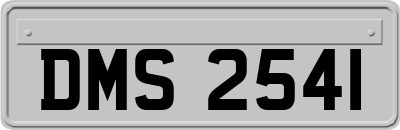 DMS2541