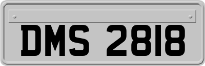 DMS2818