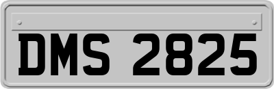 DMS2825