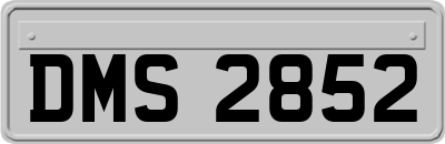 DMS2852