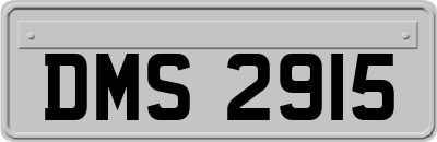 DMS2915