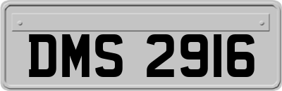 DMS2916