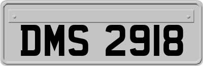 DMS2918