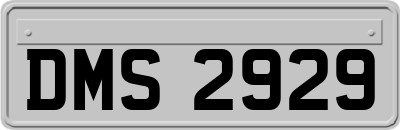 DMS2929