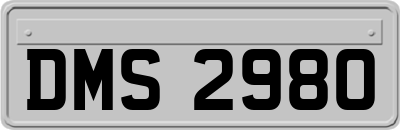 DMS2980