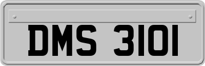 DMS3101