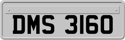 DMS3160