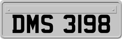 DMS3198