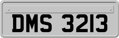 DMS3213