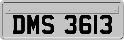DMS3613