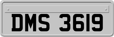 DMS3619