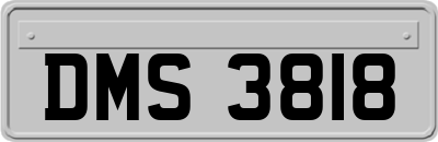 DMS3818