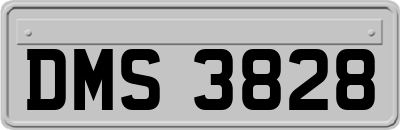 DMS3828