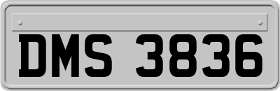 DMS3836