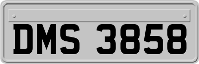 DMS3858