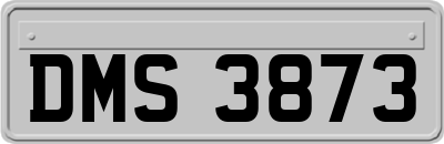 DMS3873