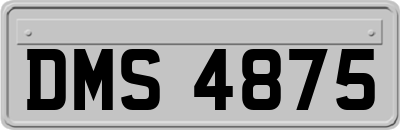 DMS4875