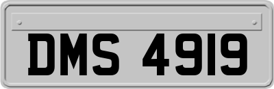 DMS4919