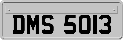 DMS5013