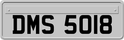 DMS5018