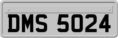 DMS5024