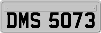 DMS5073
