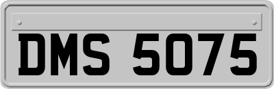 DMS5075
