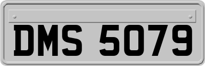 DMS5079