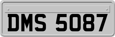 DMS5087