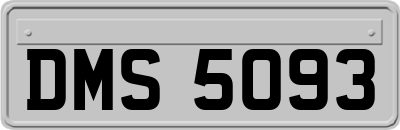 DMS5093