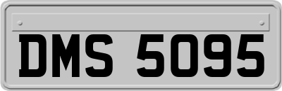DMS5095
