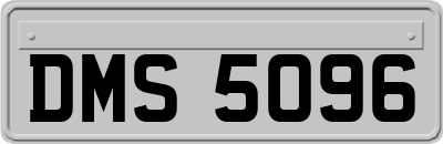 DMS5096