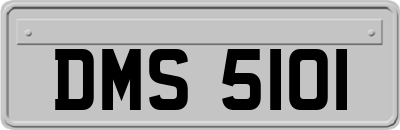 DMS5101