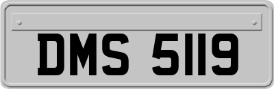 DMS5119