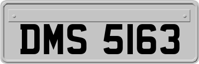 DMS5163