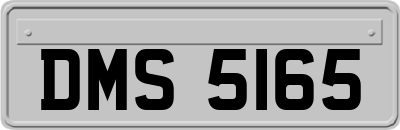 DMS5165