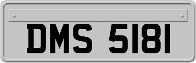 DMS5181