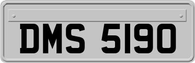 DMS5190