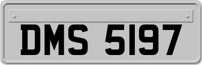 DMS5197