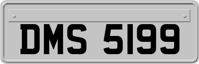 DMS5199