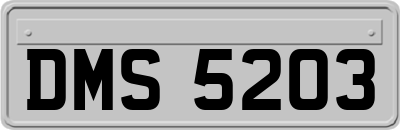 DMS5203