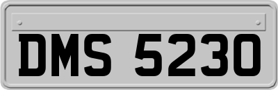 DMS5230