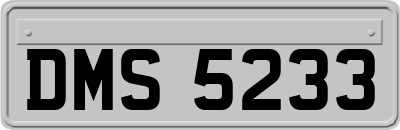 DMS5233